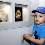 Kielce. Europejska Noc Muzeów. Centrum Geoedukacji (20.05.2017) / Marzena Mąkosa / Radio Kielce