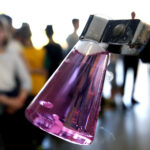 28.05.2017 Kielce. Pokazy naukowe w Centrum Nauki Leonardo da Vinci. / Marzena Mąkosa / Radio Kielce