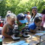 28.05.2017 Kielce. Festyn w Parku Miejskim. / Marzena Mąkosa / Radio Kielce