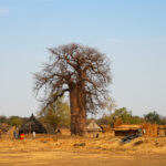 Sudan. Zdjęcie archiwalne Misji Wojskowych CPdMZ. / foto archiwum CPdMZ