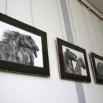 Kielce. Rysunki zwierząt na wystawie w bibliotece. / Marzena Mąkosa / Radio Kielce