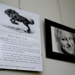 Kielce. Rysunki zwierząt na wystawie w bibliotece. / Marzena Mąkosa / Radio Kielce