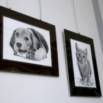 Kielce. Rysunki zwierząt na wystawie w bibliotece. / Marzena Mąkosa / Radio Kielce