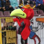 Korona Kielce vs Pogoń Szczecin (4 czerwca 2017 r.) / Krzysztof Bujnowicz / Radio Kielce