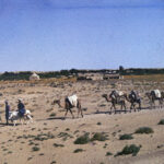 Afganistan / Wojciech Białek