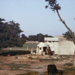 Afganistan / Wojciech Białek