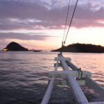 Wyspa Komodo. / Majka Szura