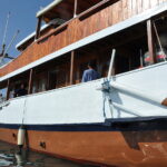 Wyspa Komodo. / Majka Szura