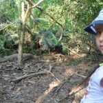 Wyspa Komodo. / Majka Szura