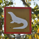 Wyspa Komodo. / Majka Szura