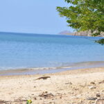 Wyspa Komodo. / Majka Szura