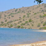 Wyspa Komodo. / Majka Szura