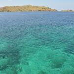 Wyspa Komodo. / Majka Szura