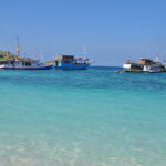 Wyspa Komodo. / Majka Szura