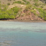 Wyspa Komodo. / Majka Szura