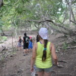 Wyspa Komodo. / Majka Szura