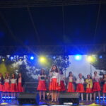 Dni Małogoszcza 2017 / Ewa Gawęda / Radio Kielce