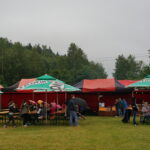 Dni Małogoszcza 2017 / Ewa Gawęda / Radio Kielce