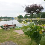 Zalew w Sędziszowie / Ewa Pociejowska-Gawęda / Radio Kielce