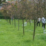 Drugi dzień Święta Kielc 2017 / Katarzyna Prędotka / Radio Kielce