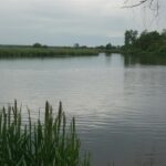 Pińczów. Zalew / Kamil Włosowicz / Radio Kielce