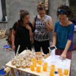 „Ślady na Podwórzu”. Akcja upiększania podwórka przy ulicy Wesołej 36 w Kielcach / Katarzyna Prędotka / Radio Kielce