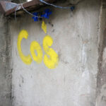 „Ślady na Podwórzu”. Akcja upiększania podwórka przy ulicy Wesołej 36 w Kielcach / Katarzyna Prędotka / Radio Kielce