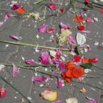 15.06.2017 Skalbmierz. Uroczystości Bożego Ciała / Kamil Włosowicz / Radio Kielce