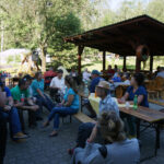 Starachowice. Nowy ogród w Domu Pomocy Społecznej / Michał Kita / Radio Kielce