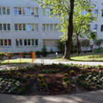 Starachowice. Nowy ogród w Domu Pomocy Społecznej / Michał Kita / Radio Kielce