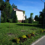 Starachowice. Nowy ogród w Domu Pomocy Społecznej / Michał Kita / Radio Kielce