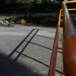 Starachowice. Nowy ogród w Domu Pomocy Społecznej / Michał Kita / Radio Kielce