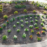 Starachowice. Nowy ogród w Domu Pomocy Społecznej / Michał Kita / Radio Kielce