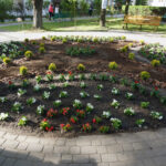 Starachowice. Nowy ogród w Domu Pomocy Społecznej / Michał Kita / Radio Kielce