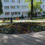 Starachowice. Nowy ogród w Domu Pomocy Społecznej / Michał Kita / Radio Kielce