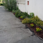 Starachowice. Nowy ogród w Domu Pomocy Społecznej / Michał Kita / Radio Kielce