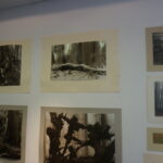 Wystawa. Sienkiewicza 41 / Katarzyna Prędotka / Radio Kielce