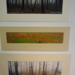 Wystawa. Sienkiewicza 41 / Katarzyna Prędotka / Radio Kielce