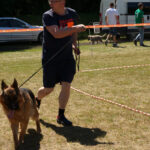 Skarżysko-Kamienna. Europejska Wystawa Psów Rasowych / Tomasz Piwko / Radio Kielce