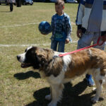 Skarżysko-Kamienna. Europejska Wystawa Psów Rasowych / Tomasz Piwko / Radio Kielce