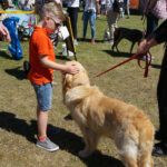 Skarżysko-Kamienna. Europejska Wystawa Psów Rasowych / Tomasz Piwko / Radio Kielce