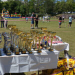 Skarżysko-Kamienna. Europejska Wystawa Psów Rasowych / Tomasz Piwko / Radio Kielce