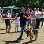 Skarżysko-Kamienna. Europejska Wystawa Psów Rasowych / Tomasz Piwko / Radio Kielce