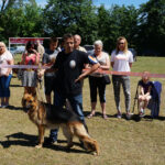 Skarżysko-Kamienna. Europejska Wystawa Psów Rasowych / Tomasz Piwko / Radio Kielce