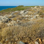 Kreta. Frygana. / Andrzej Staśkowiak