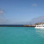 Wyspy Galapagos / Majka Szura