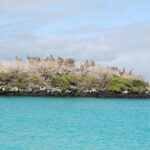 Wyspy Galapagos / Majka Szura