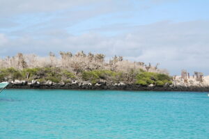 Wyspy Galapagos / Majka Szura