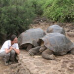 Wyspy Galapagos / Majka Szura