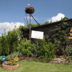 Plenerowy Raport Dnia - Gospodarstwa Agroturystyczne (26.06.2017) / Krzysztof Bujnowicz / Radio Kielce